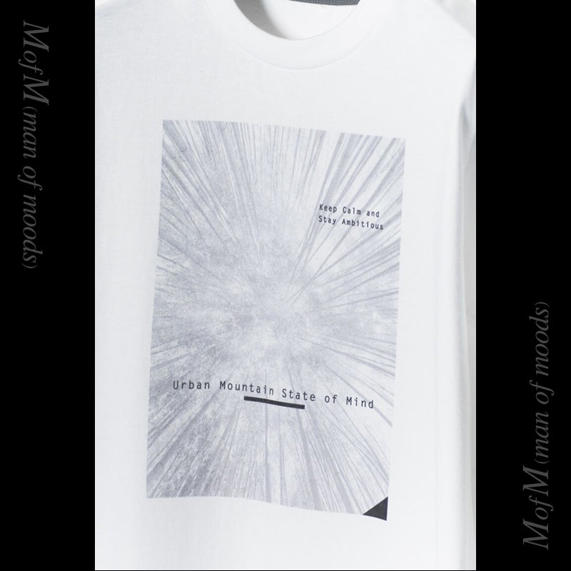 オリジナル Tシャツ アーバン マウンテン ステート オブ マインド（3色）｜mountain of moods