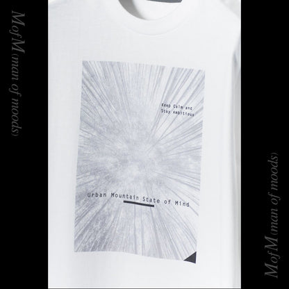 オリジナル Tシャツ アーバン マウンテン ステート オブ マインド（3色）｜mountain of moods