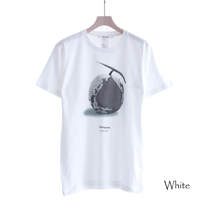 ドクター Tシャツ メロペポン アース（3色）｜Dr.Franken