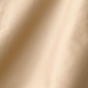 TF17SS-M0805a