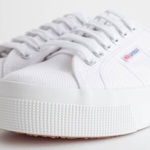 A21384W