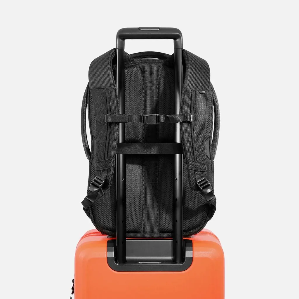 AER-31019